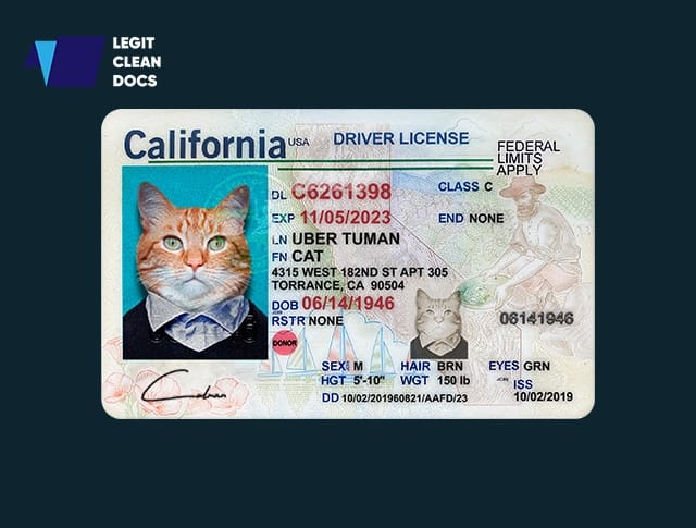 Buy Drivers <br>License